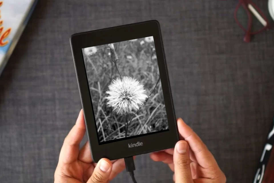 Read Online 2024 Growth Journal: Your Journey and Transformation as a Kindle eBook