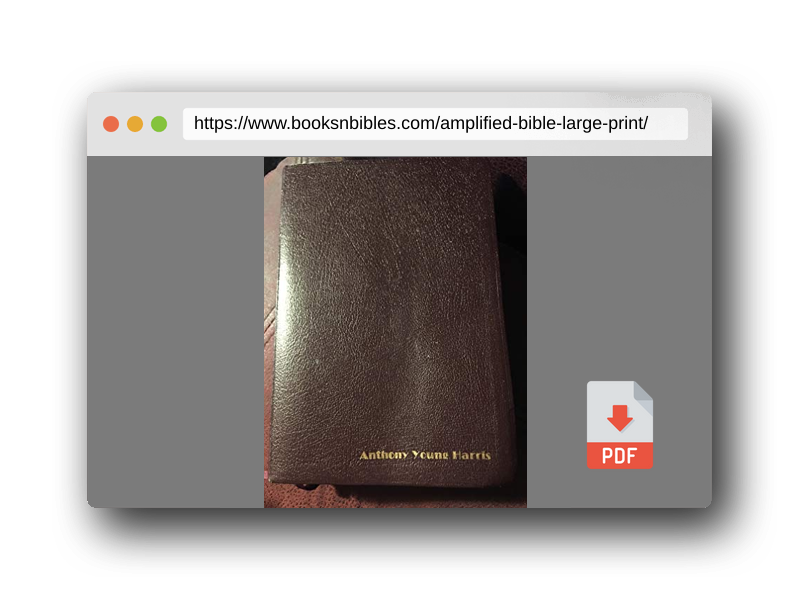 PDF Preview of the book Amplified Bible, Large Print