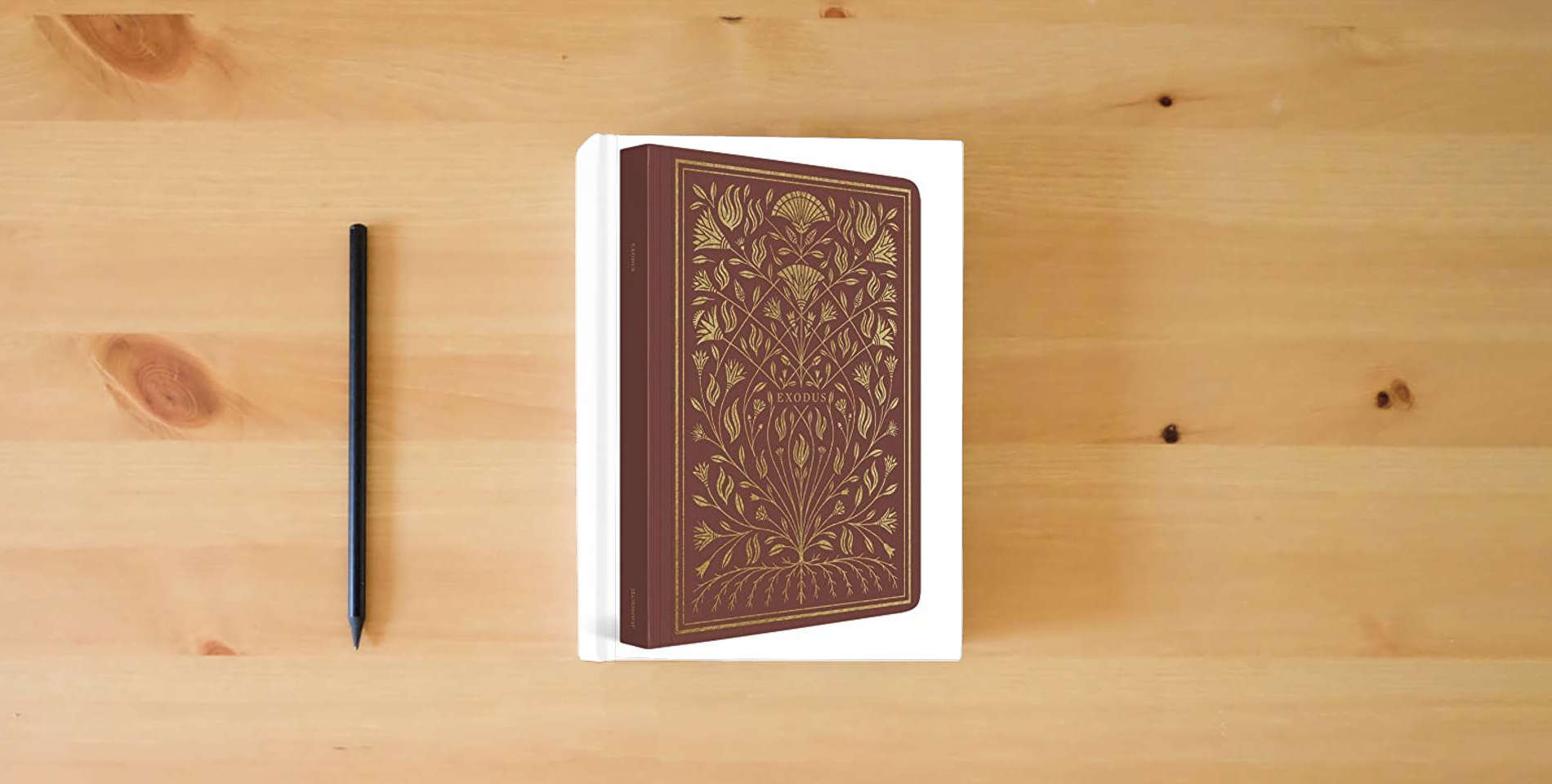 The book ESV Illuminated Scripture Journal: Exodus is on the table