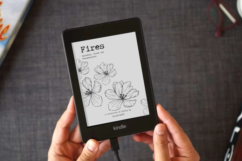 Read Online Fires as a Kindle eBook