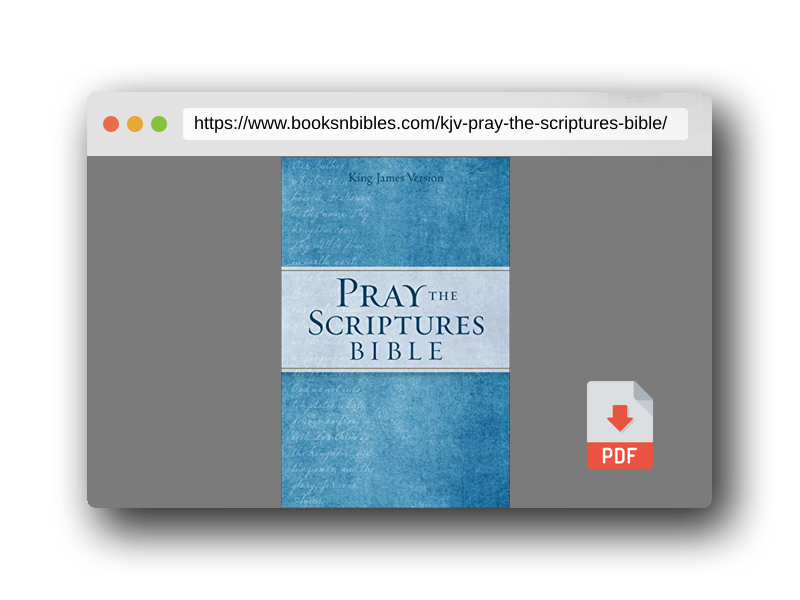 PDF Preview of the book KJV Pray the Scriptures Bible