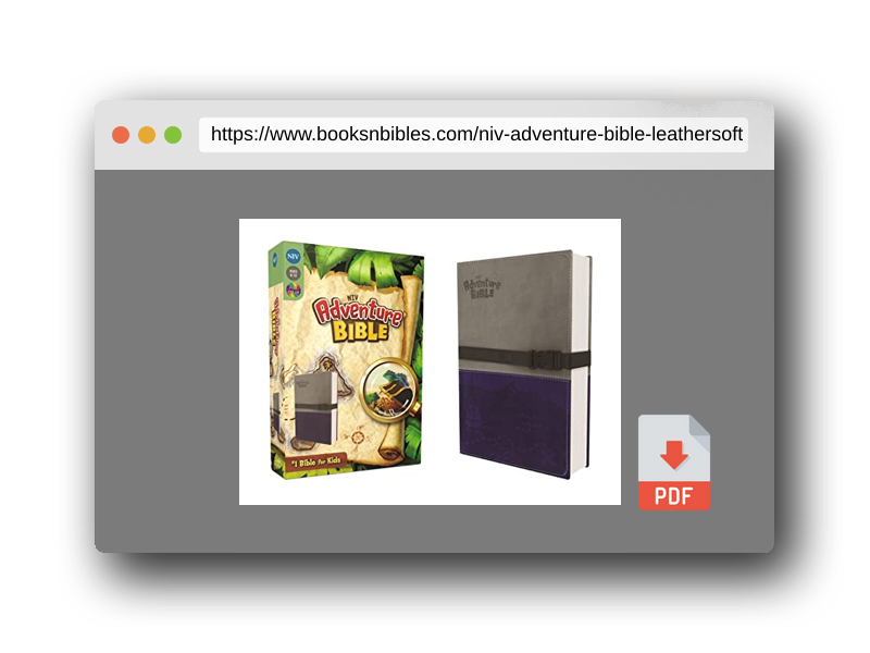 PDF Preview of the book NIV, Adventure Bible, Leathersoft, Gray/Blue, Full Color