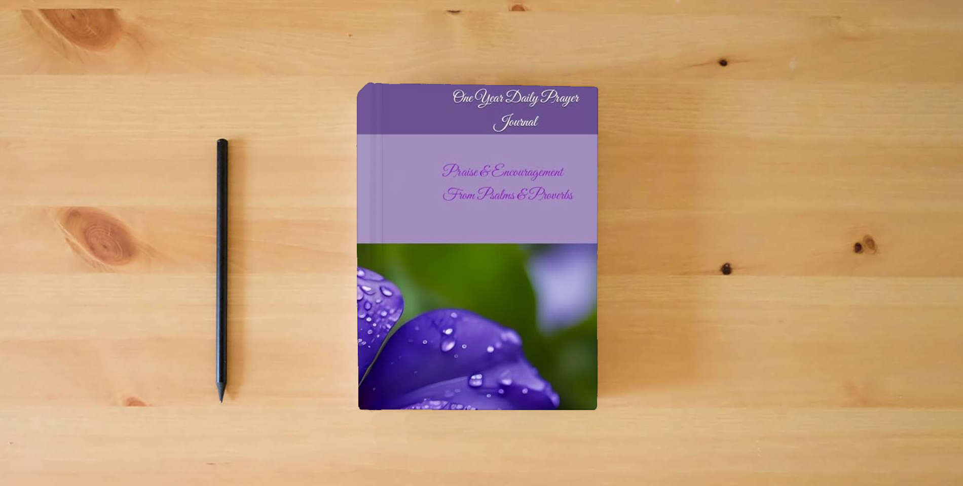 The book Praise & Encouragement From Psalms & Proverbs is on the table