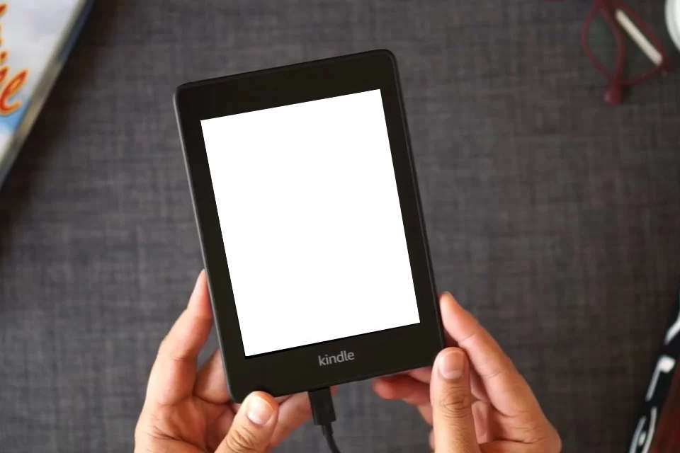 Read Online Santa Who? as a Kindle eBook