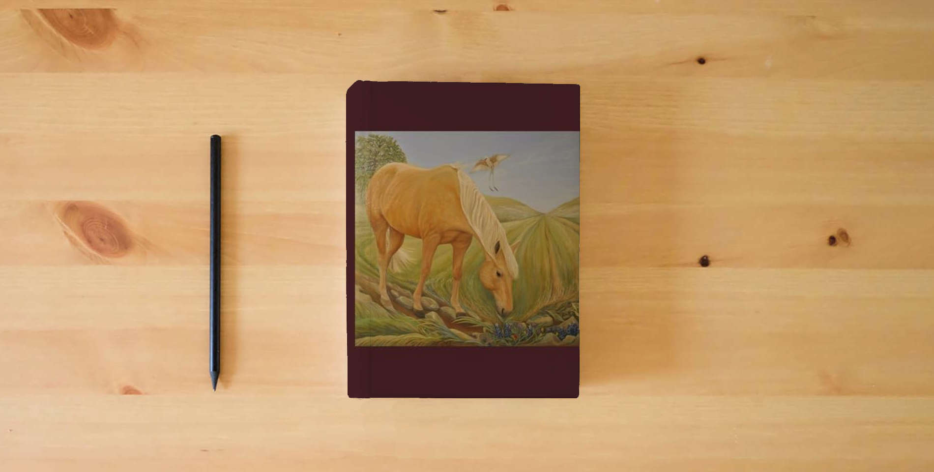 The book Texas GoldKnot Stories Book 1 is on the table
