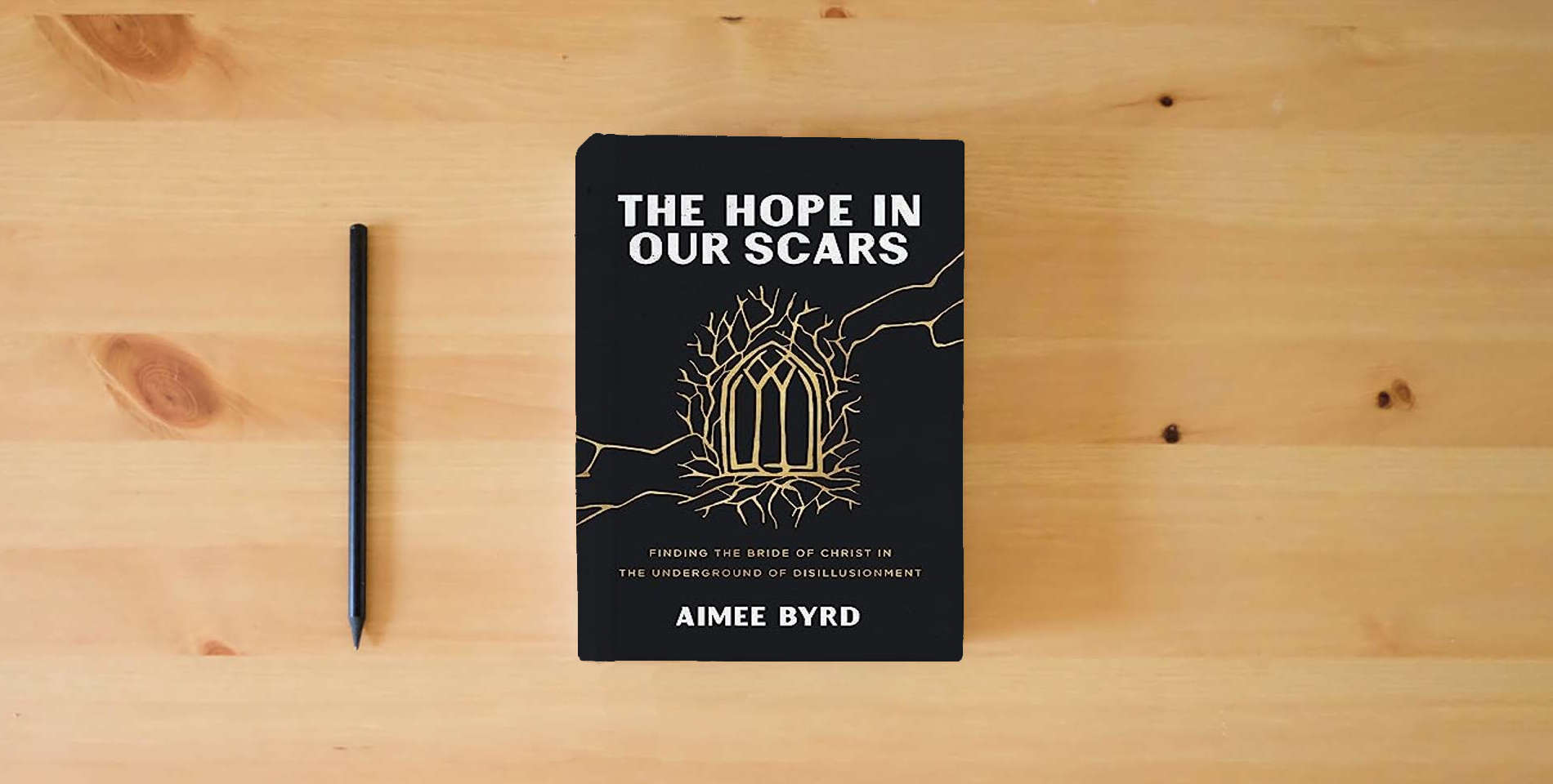 The book The Hope in Our Scars: Finding the Bride of Christ in the Underground of Disillusionment is on the table