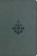 Book Cover: ESV Large Print Value Personal Size Bible, Red Letter (TruTone, River Stone, Branch Design)
