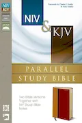 Book Cover: NIV, KJV, Parallel Study Bible, Imitation Leather, Red: Two Bible Versions Together for Study and Comparison