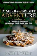Book Cover: A Merry and Bright Adventure: A Christmas Devotional for Family, Faith, Food, and Fun