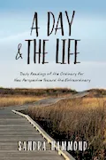 Book Cover: A Day & The Life: Daily Readings of the Ordinary for New Perspective Toward the Extraordinary