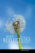Book Cover: Daily Reflections for the One Year Chronological New Testament