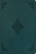 Book Cover: ESV Journaling Study Bible (TruTone over Board, Paris Sky, Fleur-de-lis Design)
