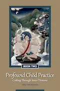 Book Cover: Profound Chöd Practice — Cutting Through Inner Demons: Book Two