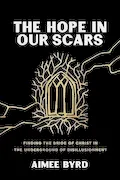 Book Cover: The Hope in Our Scars: Finding the Bride of Christ in the Underground of Disillusionment
