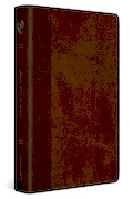 Book Cover: ESV Journaling Bible, Red Letter (TruTone, Brown/Tan, Timeless Design)