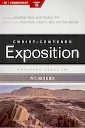 Book Cover: Exalting Jesus in Numbers (Christ-Centered Exposition Commentary)