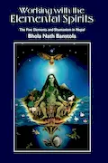 Book Cover: Working with the Elemental Spirits: The Five Elements and Shamanism in Nepal
