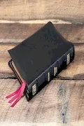 Book Cover: The KJV Store Classic Large Print Study Bible (With C.I. Scofield Notes) - Goatskin Edition