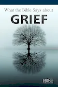 What the Bible Says About Grief Book Cover: What the Bible Says About Grief