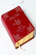 Book Cover: Personalized Catholic Bible for Confirmation & RCIA – Custom Name Engraved Cover, Catholic Confirmation Keepsake for Teens & Adults - New American Bible Revised Edition (NAB-RE)