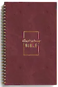 CSB Illustrating Bible - Cranberry Book Cover: CSB Illustrating Bible - Cranberry