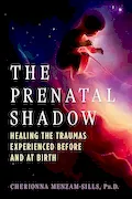 Book Cover: The Prenatal Shadow: Healing the Traumas Experienced before and at Birth