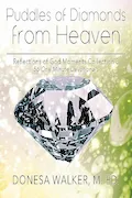 Book Cover: Puddles of Diamonds in Heaven