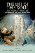 Book Cover: The Life of the Soul: Jewish Perspectives on Reincarnation from the Middle Ages to the Modern Period