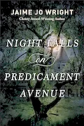 Book Cover: Night Falls on Predicament Avenue