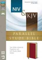 Book Cover: NIV, KJV, Parallel Study Bible, Imitation Leather, Red: Two Bible Versions Together for Study and Comparison