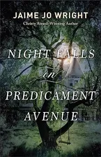 Book Cover: Night Falls on Predicament Avenue