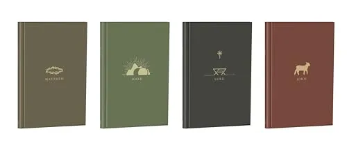 Book Cover: The Gospels - In the Word