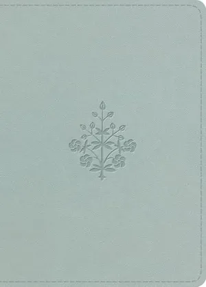Book Cover: ESV Large Print Value Personal Size Bible, Red Letter (TruTone, River Stone, Branch Design)