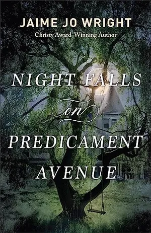 Book Cover: Night Falls on Predicament Avenue