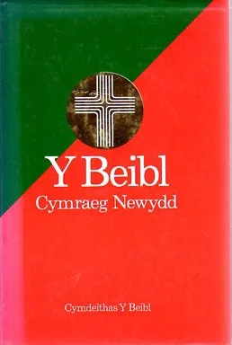 Book Cover: Y Beibl Cymraeg Newydd (New Welsh Bible)