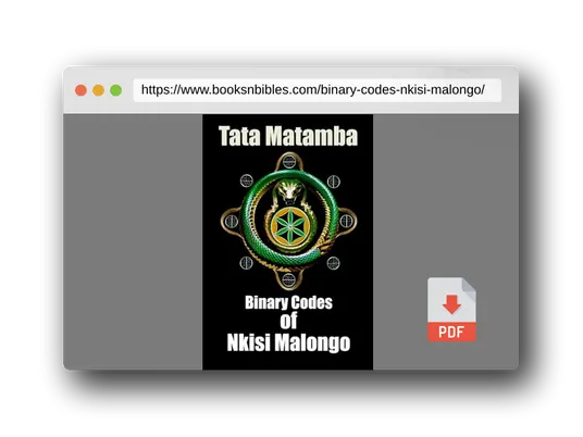 PDF Preview of the book Binary Codes Of Nkisi Malongo