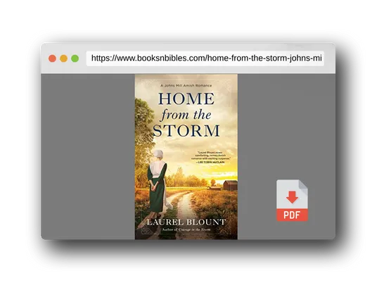 PDF Preview of the book Home from the Storm (A Johns Mill Amish Romance)