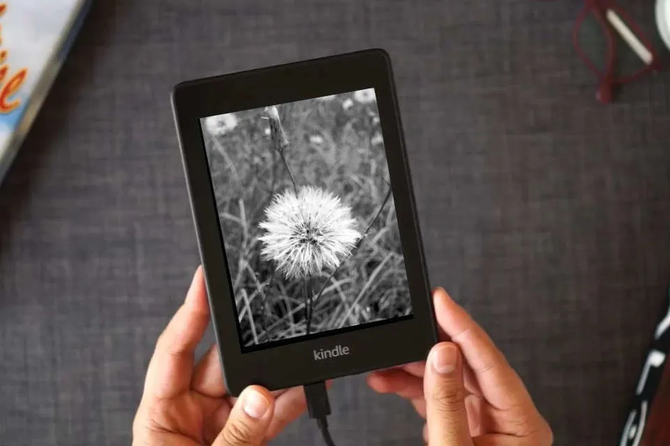 Read Online 2024 Growth Journal: Your Journey and Transformation as a Kindle eBook