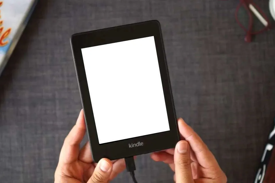 Read Online Santa Who? as a Kindle eBook